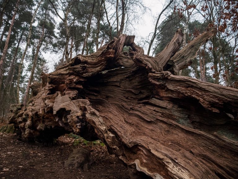 Loranocarter+mansfield Loranocarter+Mansfield